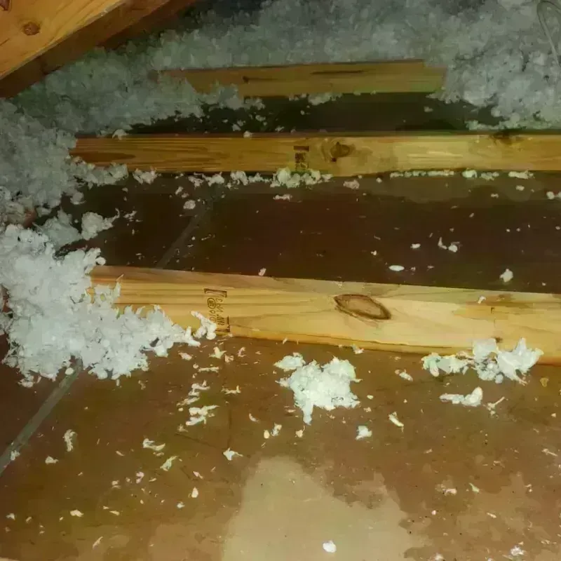 Attic Water Damage in Bell Gardens, CA